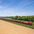 LM D205704 CR