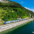 LM_D304820_CR