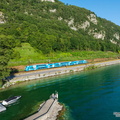 LM_D304921_CR